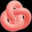 torusKnot image