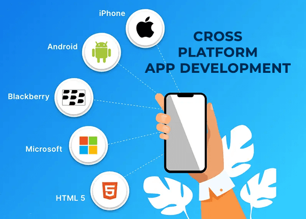 Cross-Platform App Development