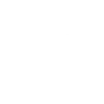 LinkedInIcon
