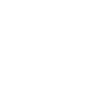 twitterWhite